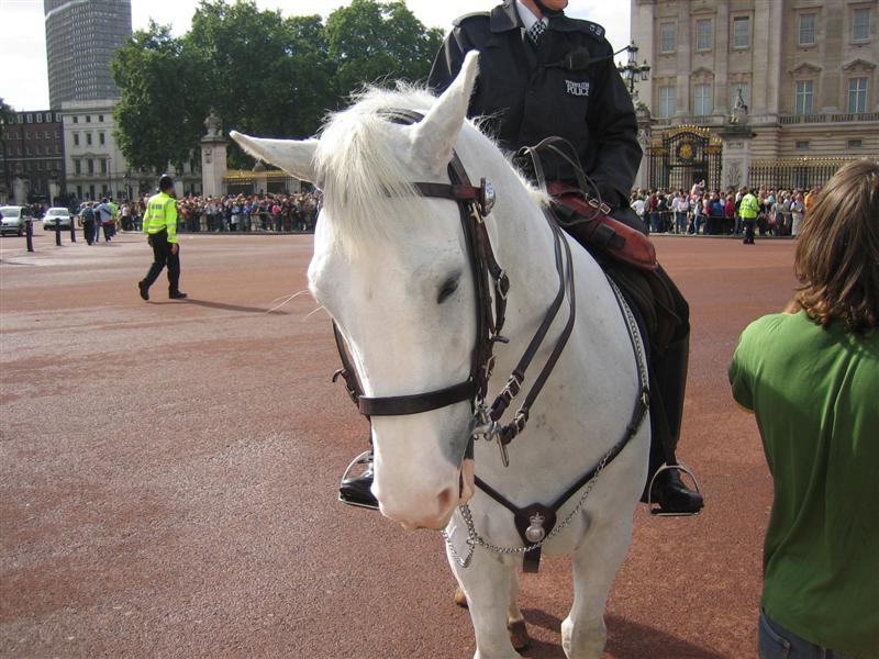 london buckingham palace IMG 5144